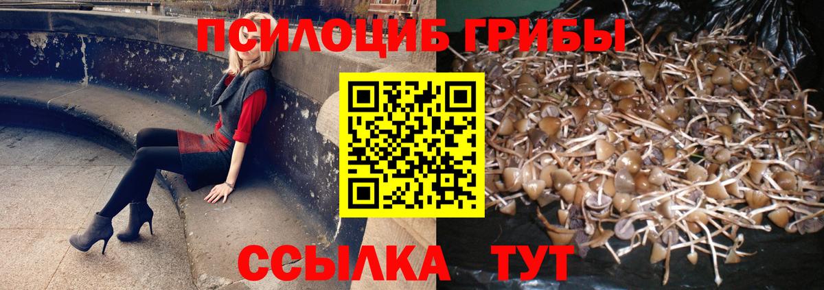 Псилоцибиновые грибы мицелий  Вход с VPN  Выборг 