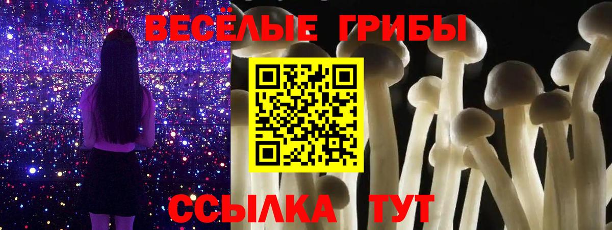 Псилоцибиновые грибы GOLDEN TEACHER Выборг